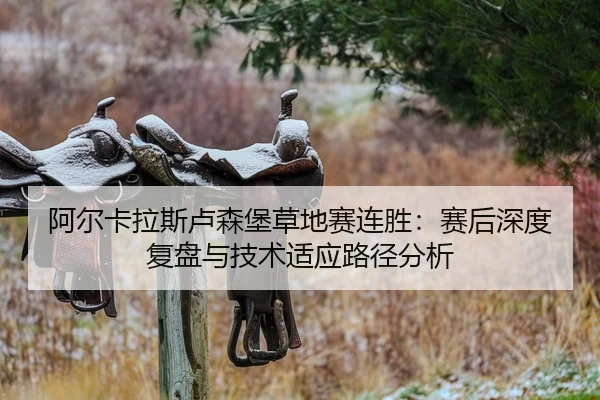 a-er-ka-la-si-lu-sen-bao-cao-di-sai-lian-sheng-sai-hou-shen-du-fu-pan-yu-ji-shu-shi-ying-lu-jing-fen-xi-1-771.jpg